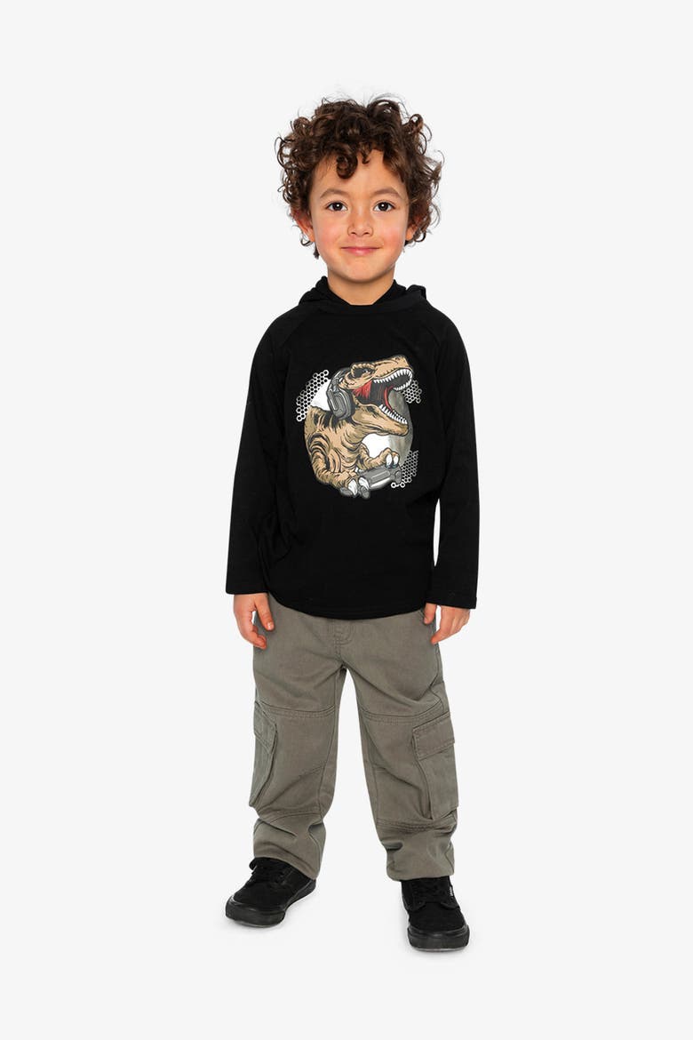 Raglan Hooded Graphic T-Shirt, Alternate, color, Black and Brown