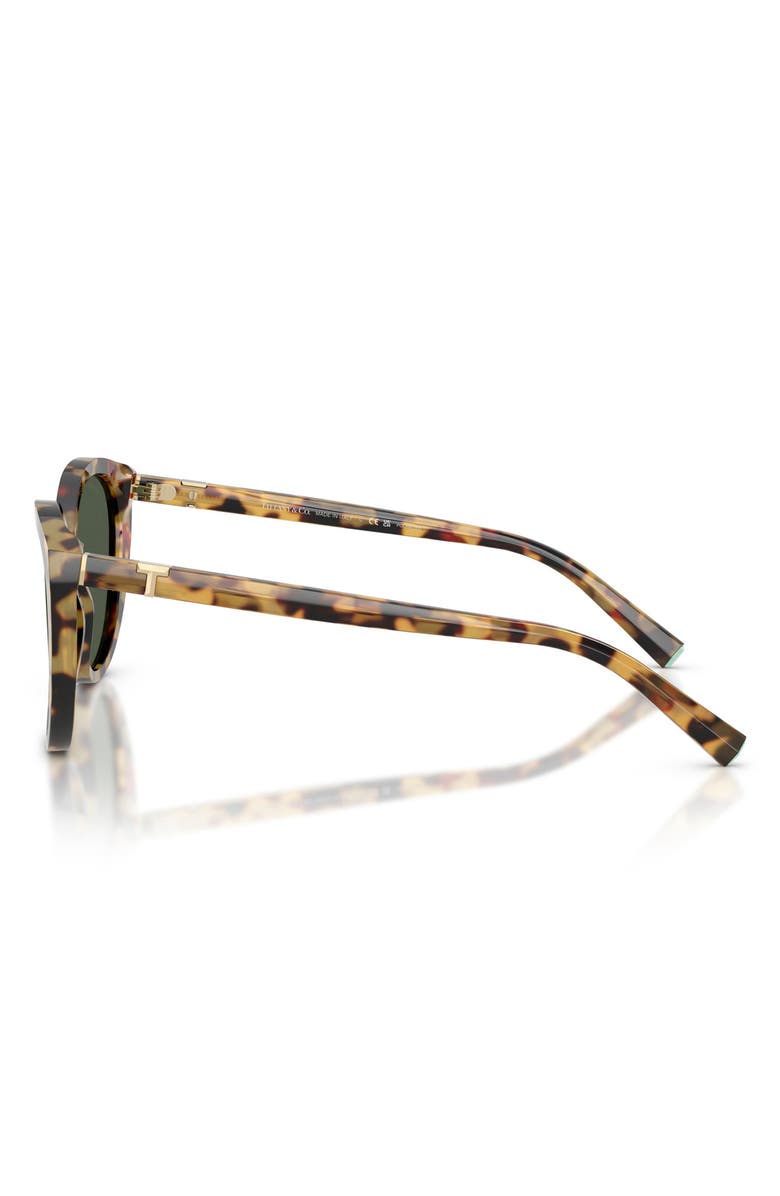 Tiffany & Co. 56mm Polarized Cat Eye Sunglasses, Alternate, color, Blonde Havana / Polar Green