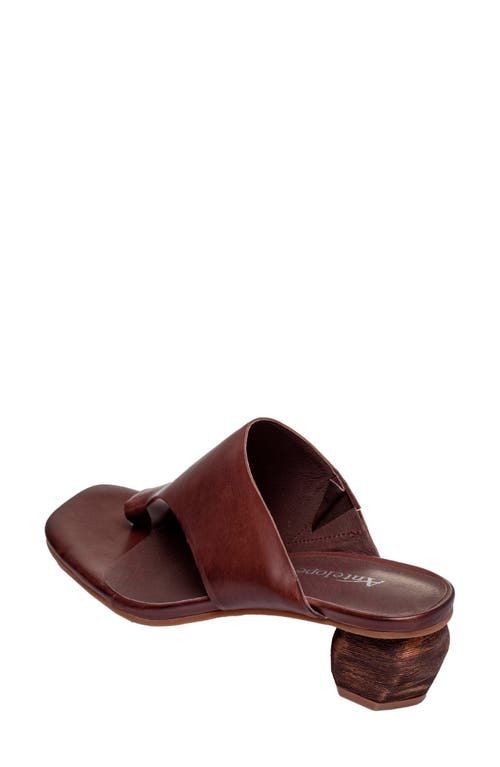 Antelope Afton Toe Loop Leather Dress Sandal In Coffee