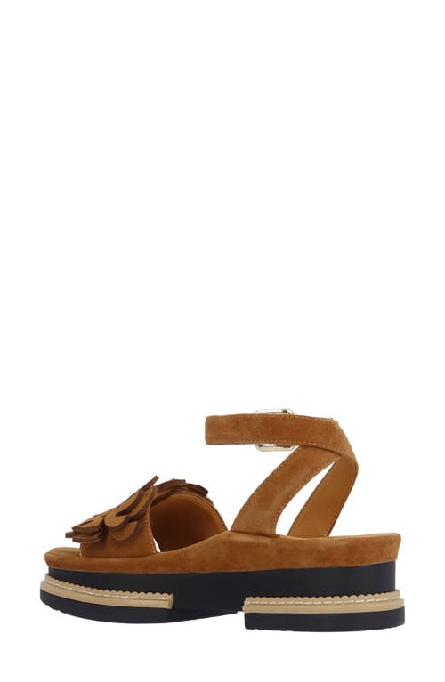 L'amour Des Pieds Alaric Ankle Strap Platform Sandal In Coffee