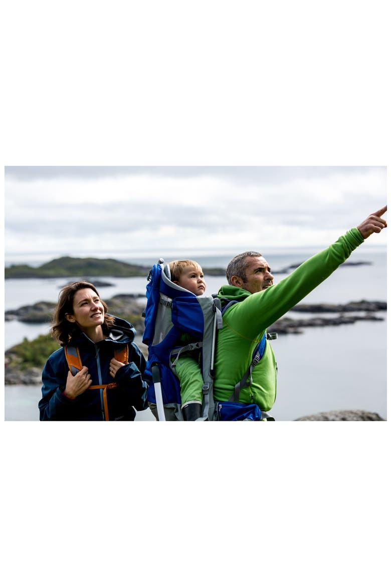 Sapling Elite Child Carrier, Alternate, color, SLATE/ COBALT