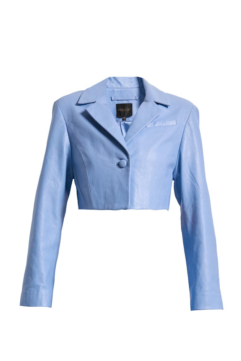 Poppy Leather Blazer, Alternate, color, PROVENCE BLUE