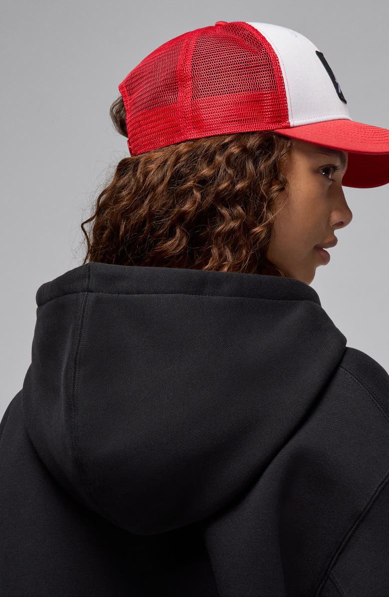 Jordan Flight Fleece Hoodie, Alternate, color,