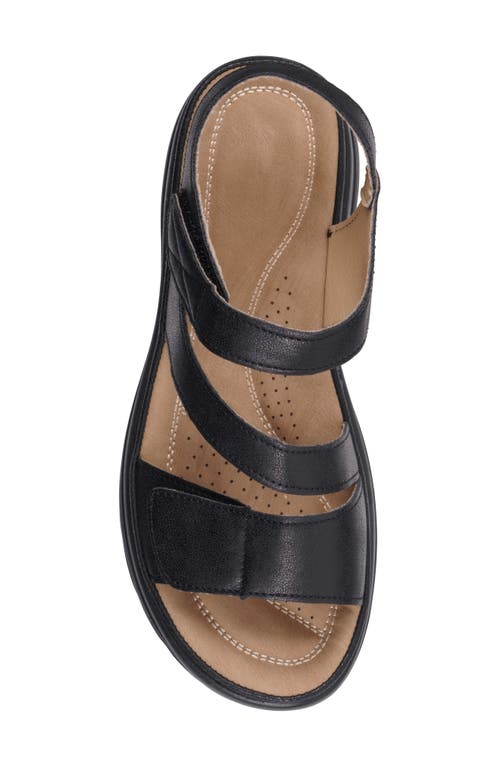 Gc Shoes Judy Comfort Sandal In Black