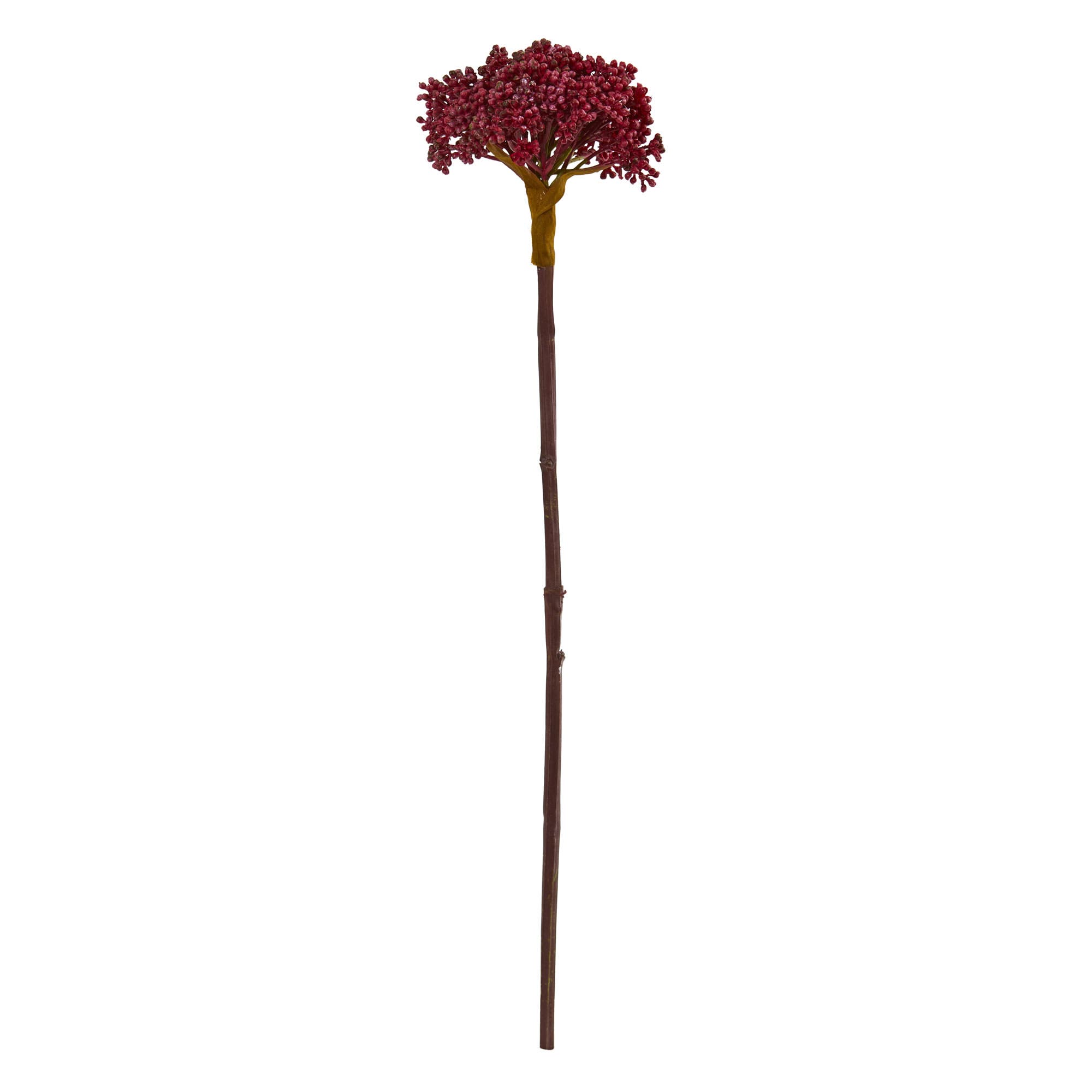 selected Burgundy