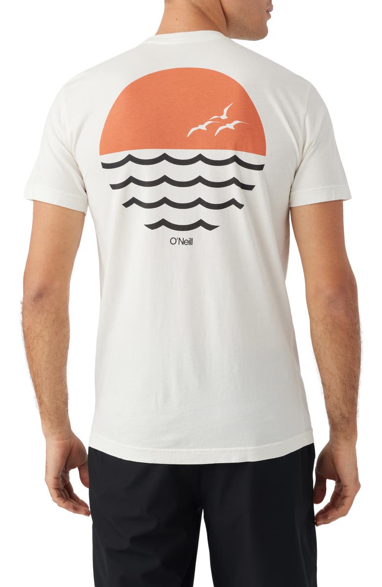 O'Neill Seagull Graphic T-Shirt, Alternate, color, 