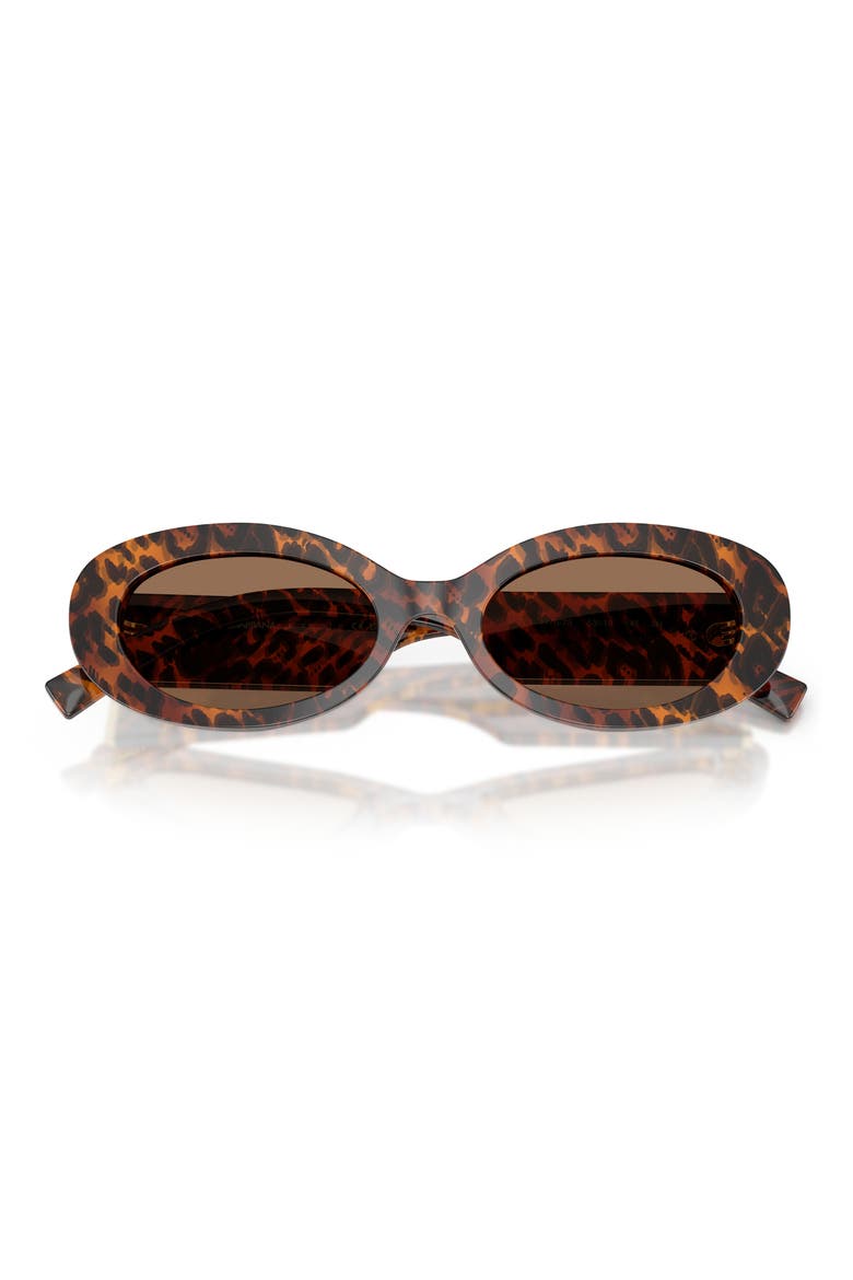 53mm Oval Sunglasses, Alternate, color, LEO TRANSPARENT / DARK BROWN
