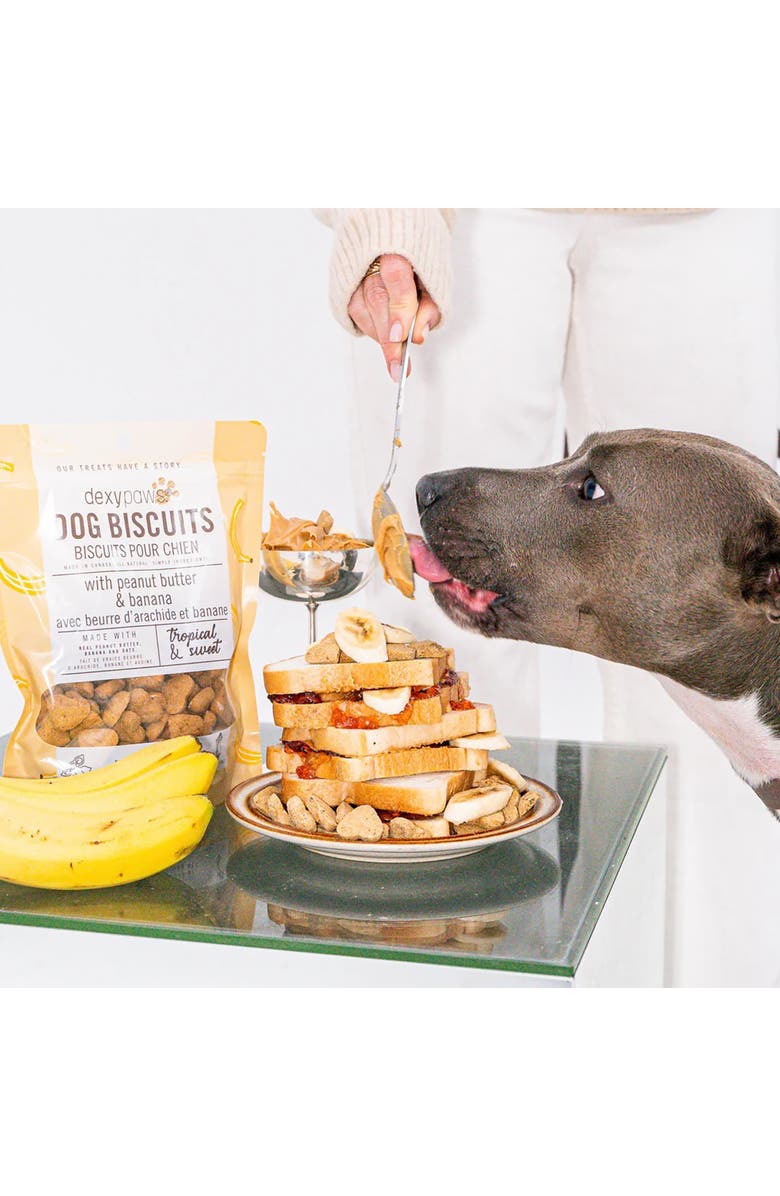Dexypaws Banana, Oat
Peanut Butter Dog Biscuits 12oz, Alternate, color, Brown