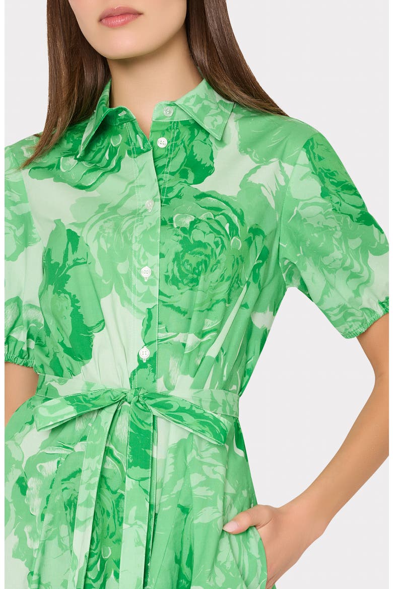 Juni Floral Stretch Cotton Poplin Mini Shirtdress, Alternate, color, GREEN/ WHITE