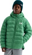 The North Face Kids' Perrito Reversible Water Repellent Jacket