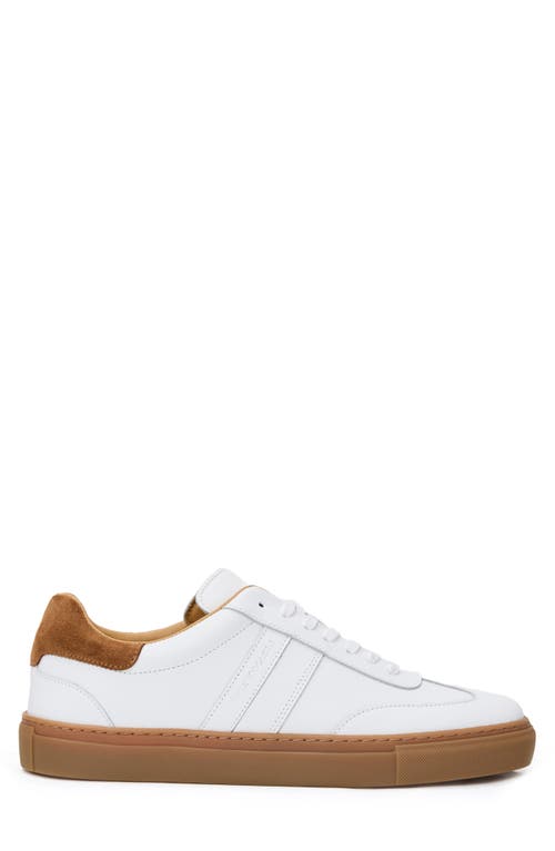 Bruno Magli Ryan Low Top Sneaker In Multi