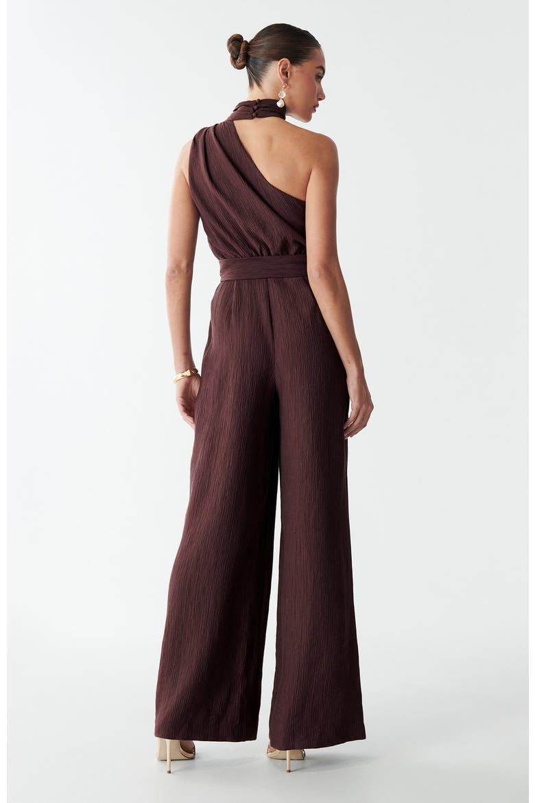 Vera Jumpsuit, Alternate, color, Chocolate