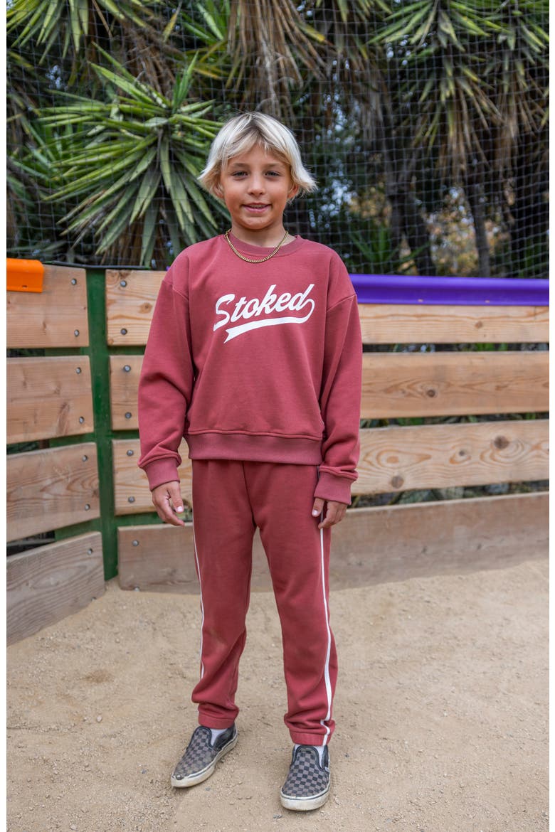 Kids' Wyatt Cotton Blend Track Joggers, Alternate, color, CANYON RED