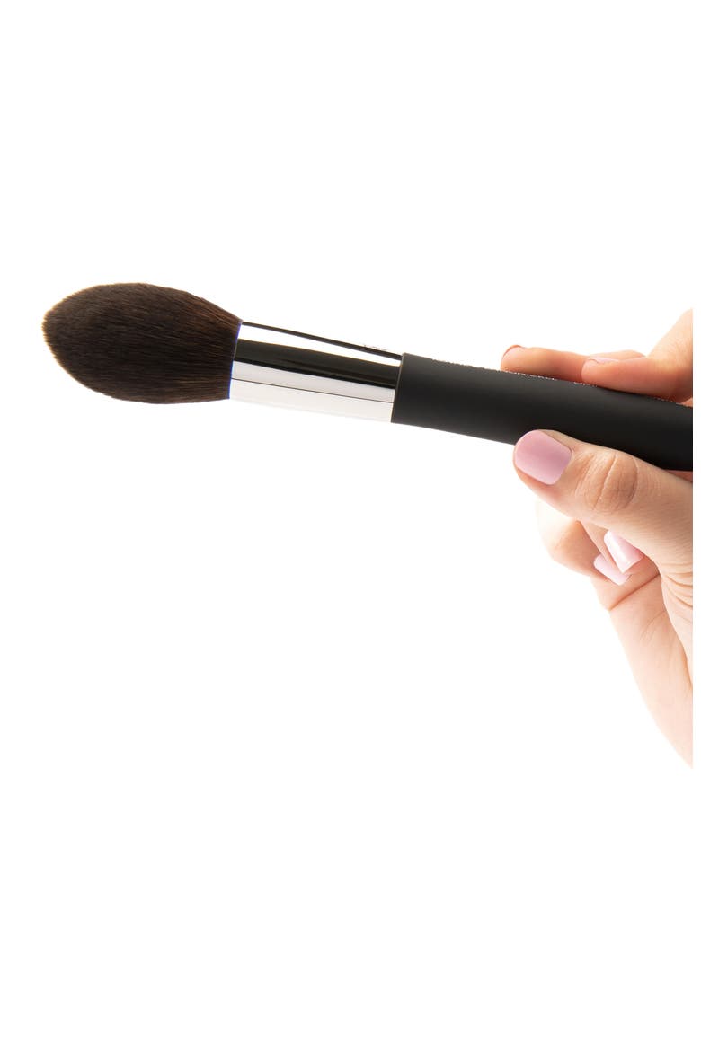 Pro Small Pointed Blush Makeup Brush, Alternate, color, Black