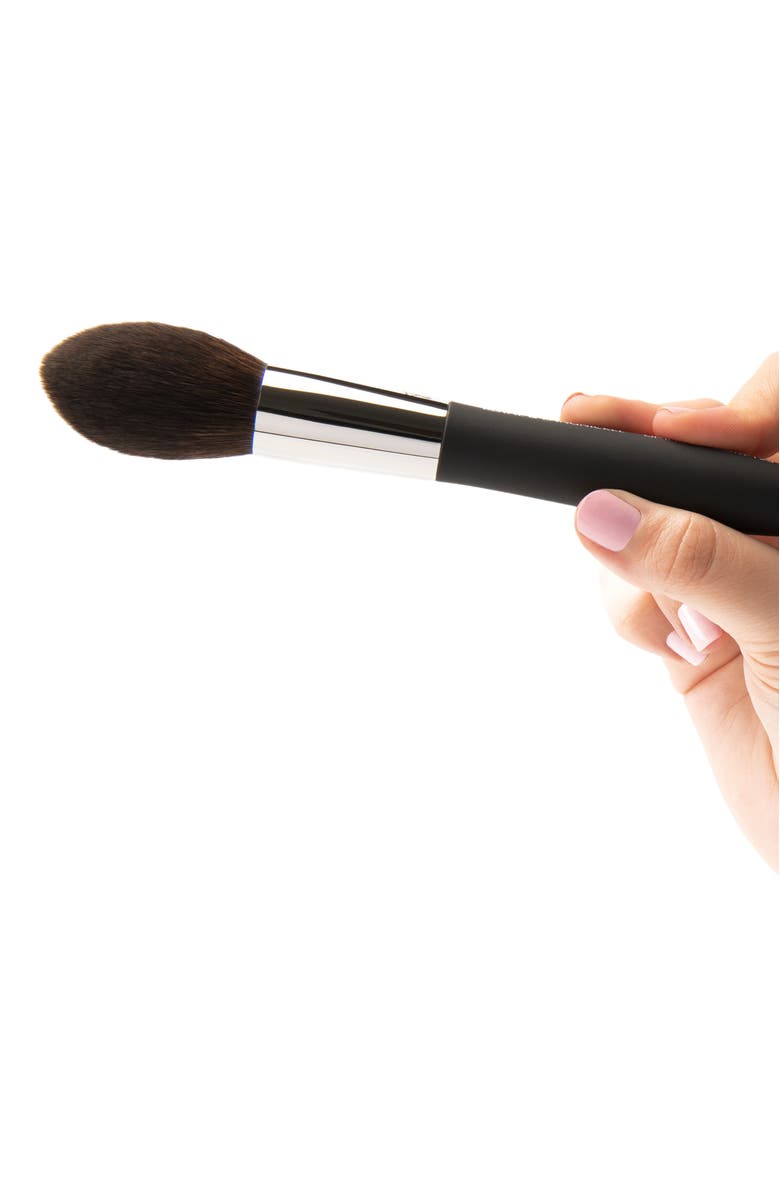 OMNIA Brush Pro Small Pointed Blush Makeup Brush, Alternate, color, Black