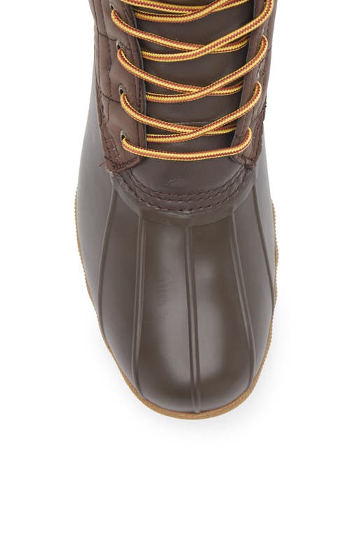 Sperry Saltwater Duck Toe Boot In Brown