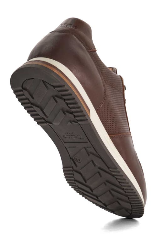 Dune London Trilogy Sneaker In Brown
