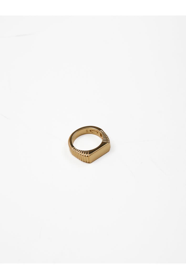 Selenia Pinky Ring, Alternate, color, 14K Recycled Gold Vermeil