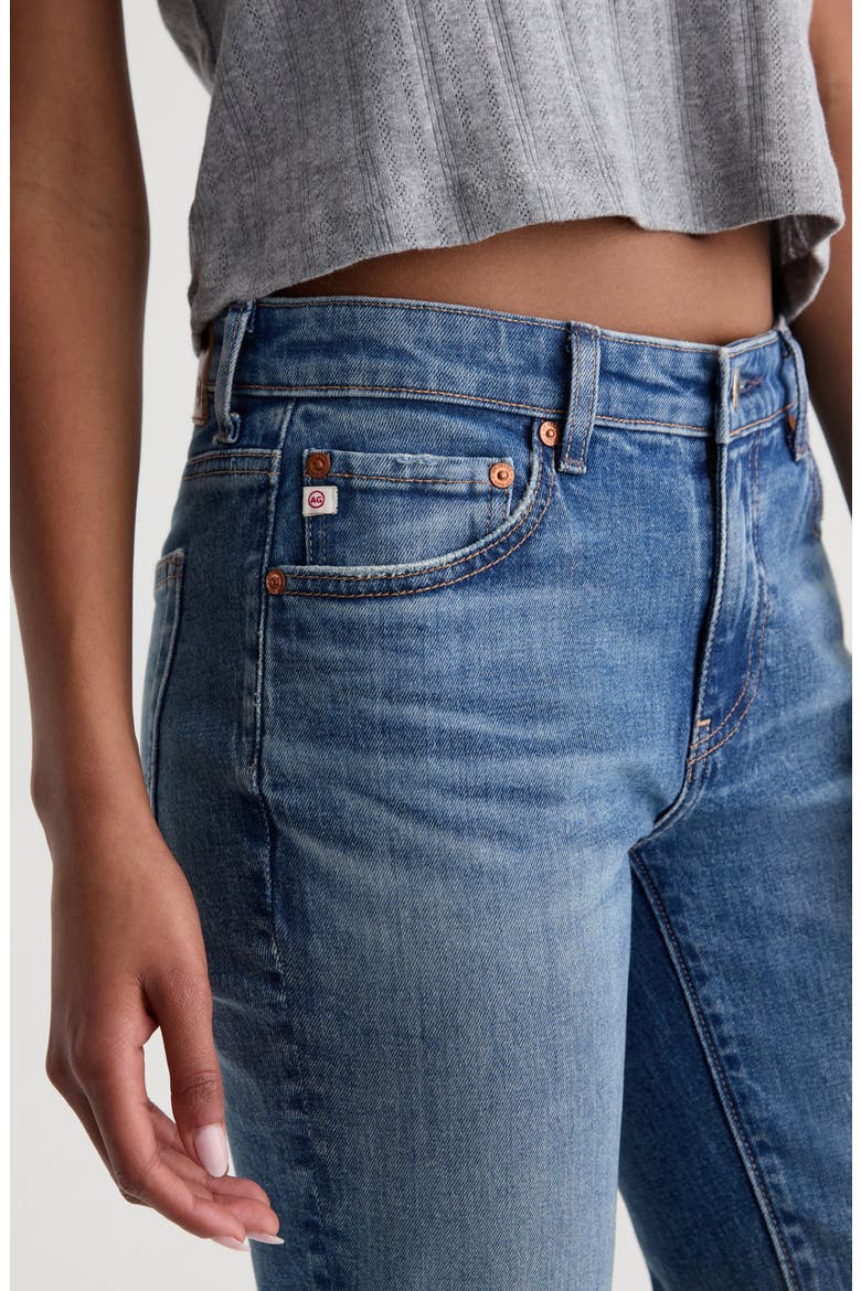 Sandra Low Rise Slim Straight Leg Jeans, Alternate, color, 10 YEARS MACHIA