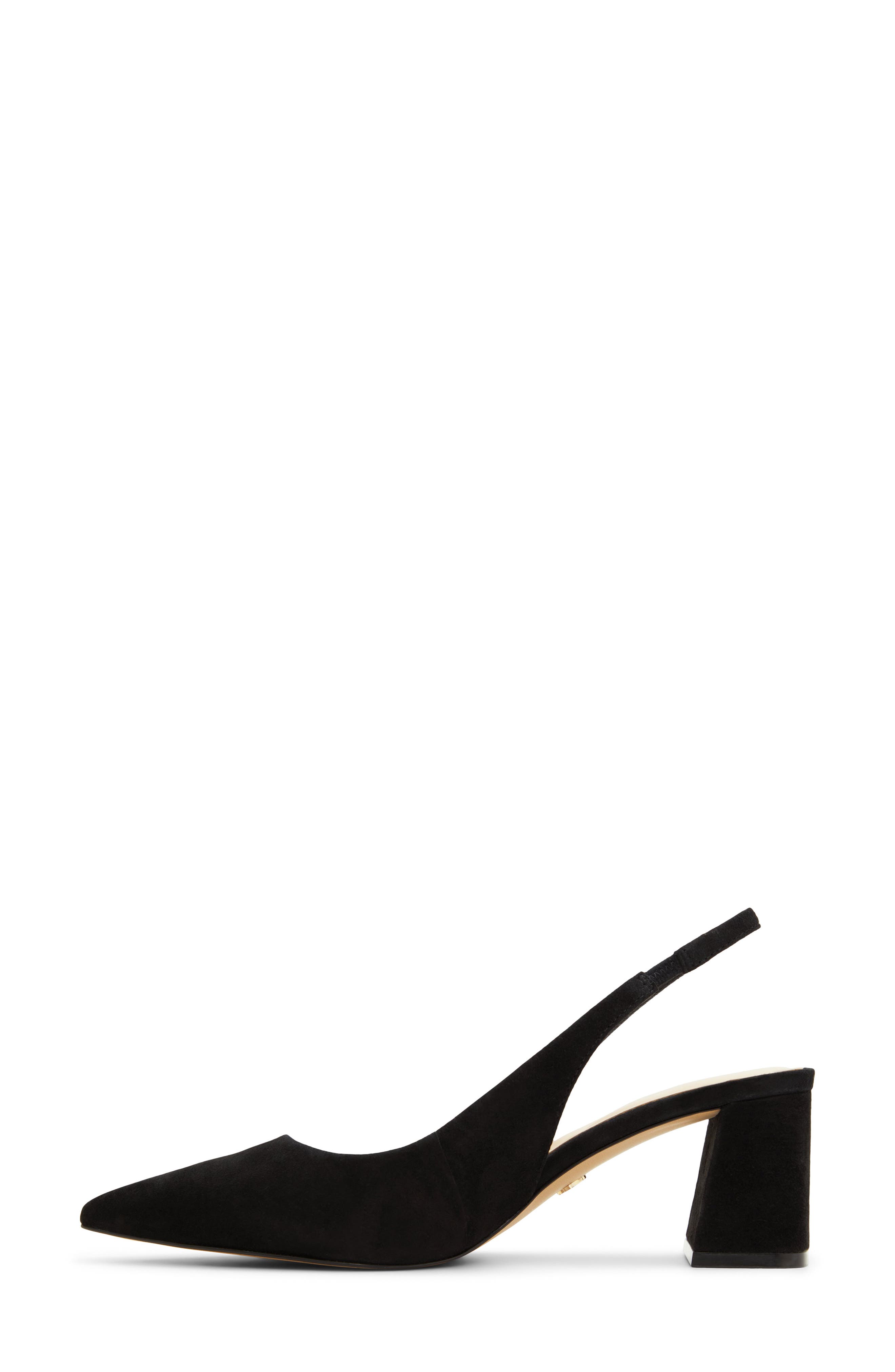 ALDO Uliana Slingback Pointed Toe Pump, Alternate, color, Black