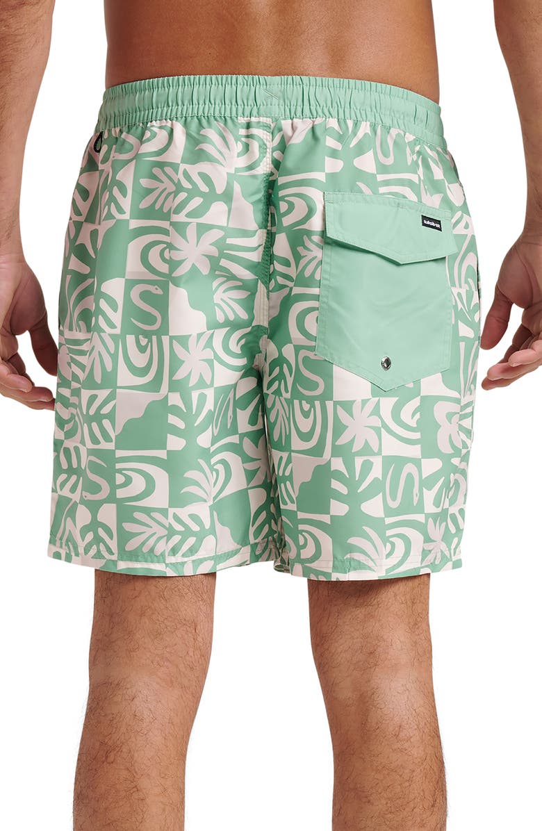 Quiksilver Everyday 17" Terra Swim Trunks, Alternate, color, Granite Green