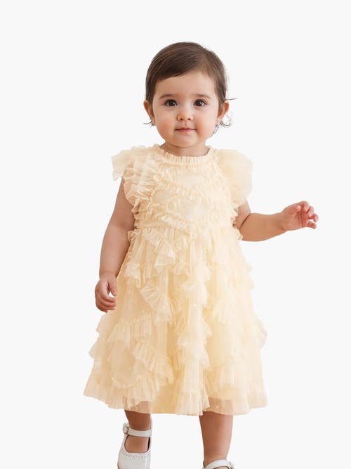 Needle & Thread Genevieve Embroidered Ruffle Baby Dress In Yellow