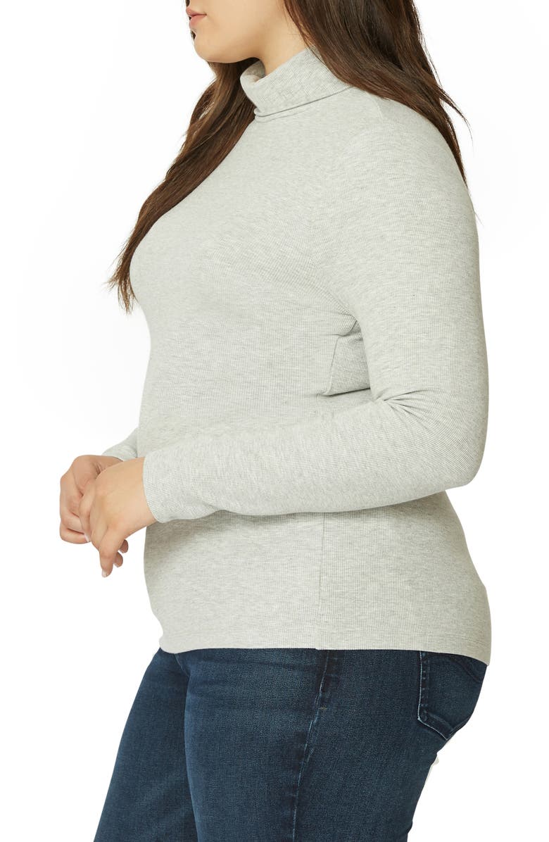 Sanctuary Essentials Turtleneck, Alternate, color, 