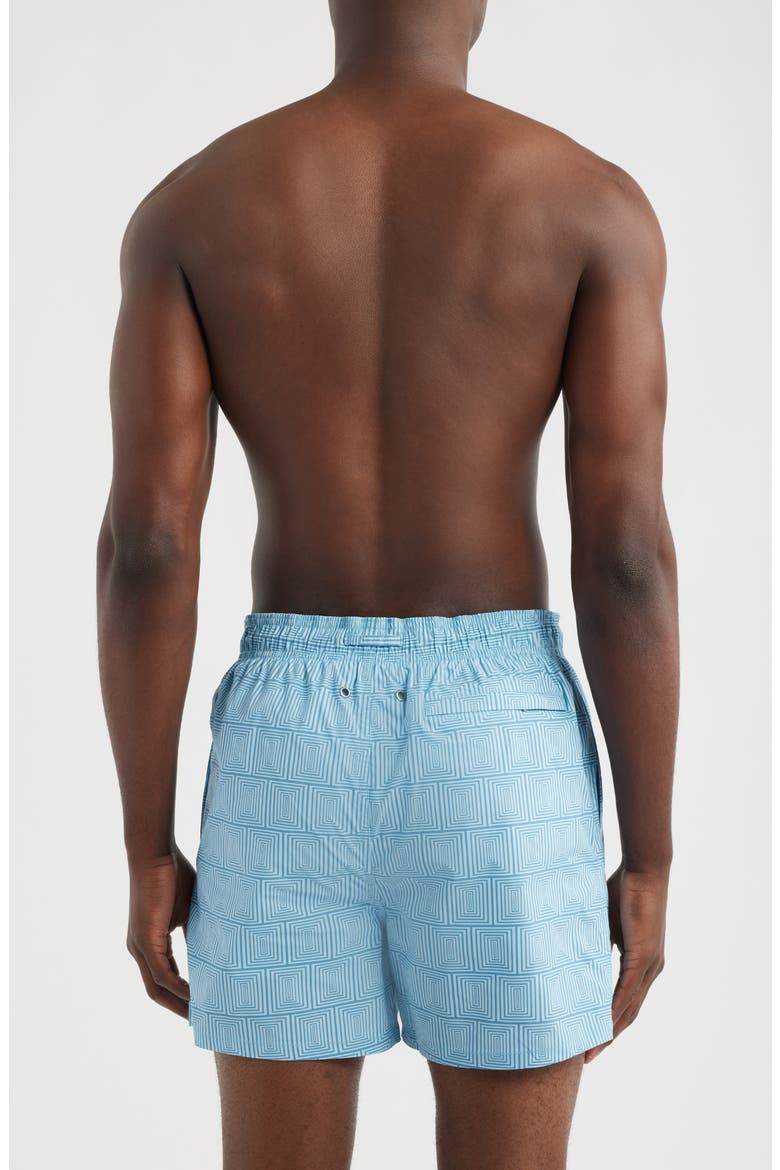 Cruz Print Swim Trunks, Alternate, color, TEAL
