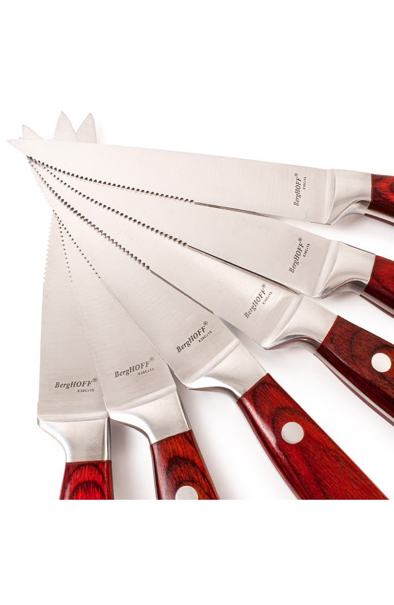 BergHOFF Pakkas 12-Piece Stainless Steel Steak Knives, Alternate, color, Brown