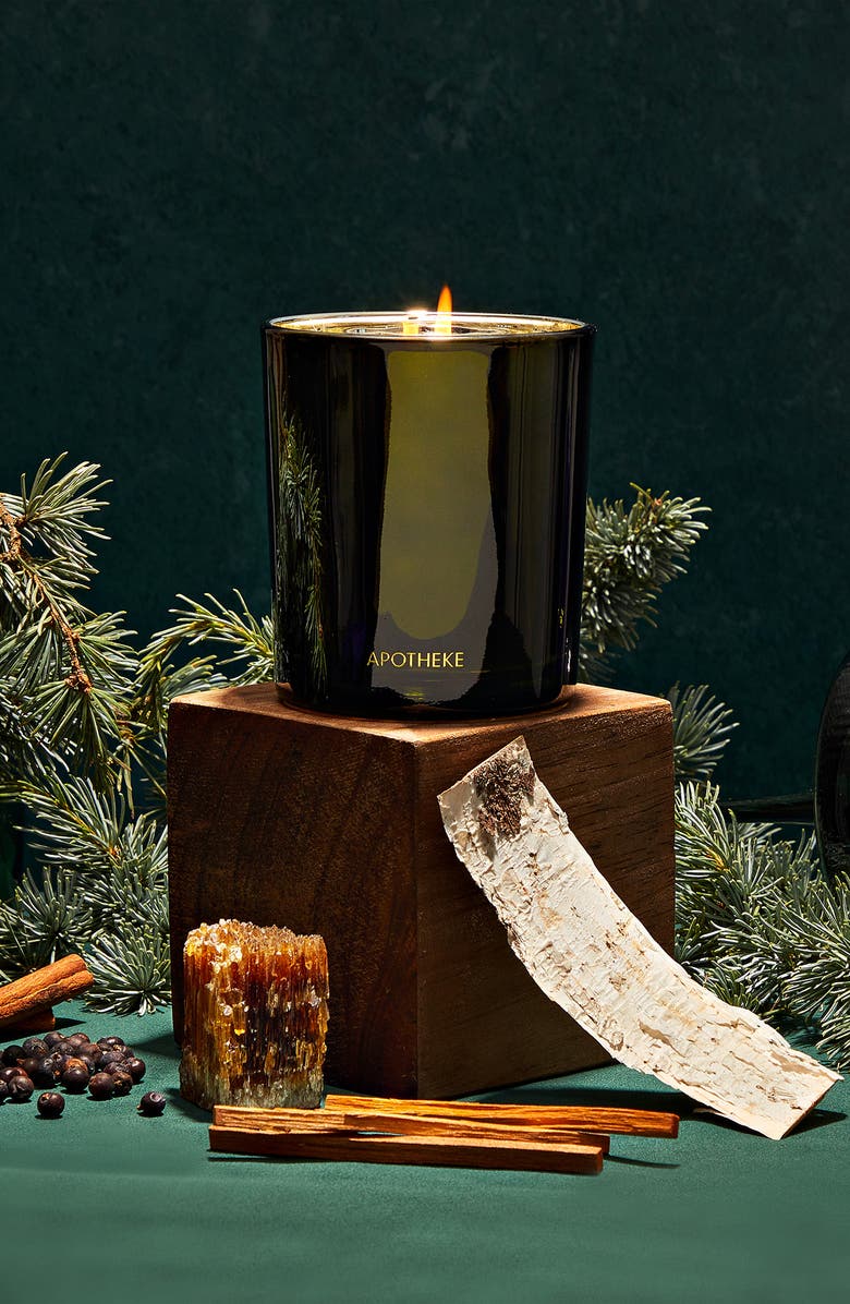 APOTHEKE Juniper Birch Classic Scented Candle, Alternate, color, Medium Green