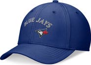 Nike Men's Nike Royal Toronto Blue Jays Evergreen Performance Flex Hat