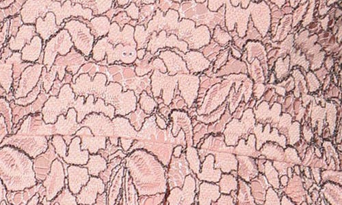 Shop Walter Baker Adaline Floral Lace Long Sleeve Dress In Windsor Lace Blush