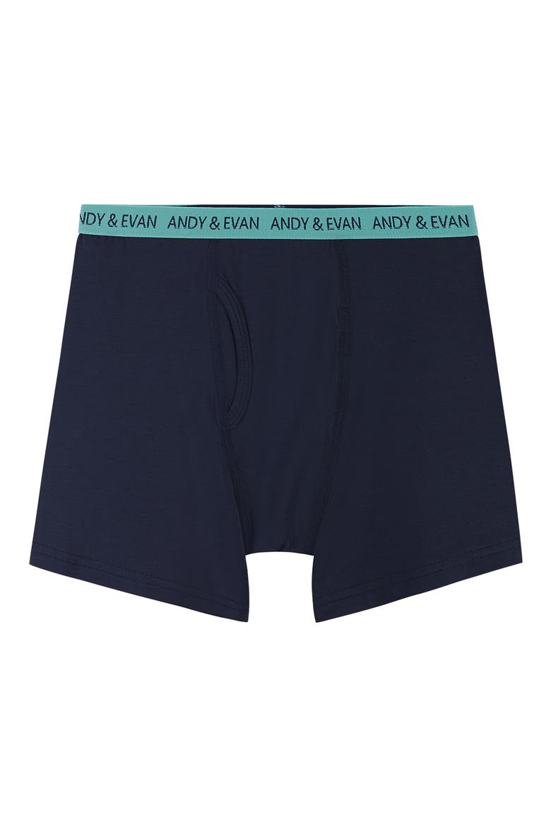 Kids' Assorted 5-Pack Boxer Briefs, Alternate, color, BLUE DINO