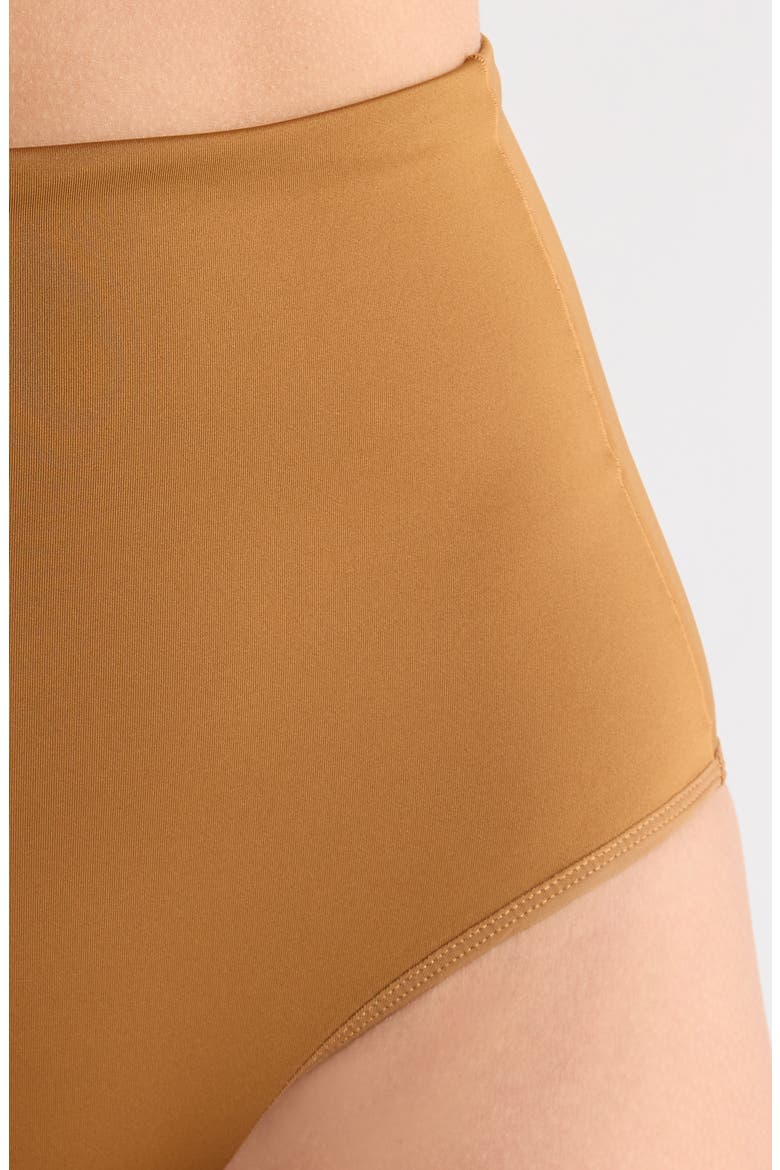 Hi Tide High Waist Bikini Bottoms, Alternate, color, TAN LINES BROWN