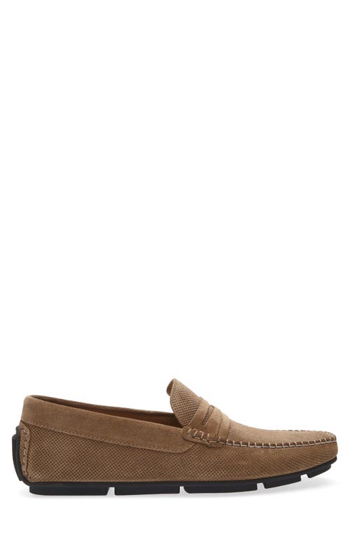 Bruno Magli Pelican Penny Loafer In Brown