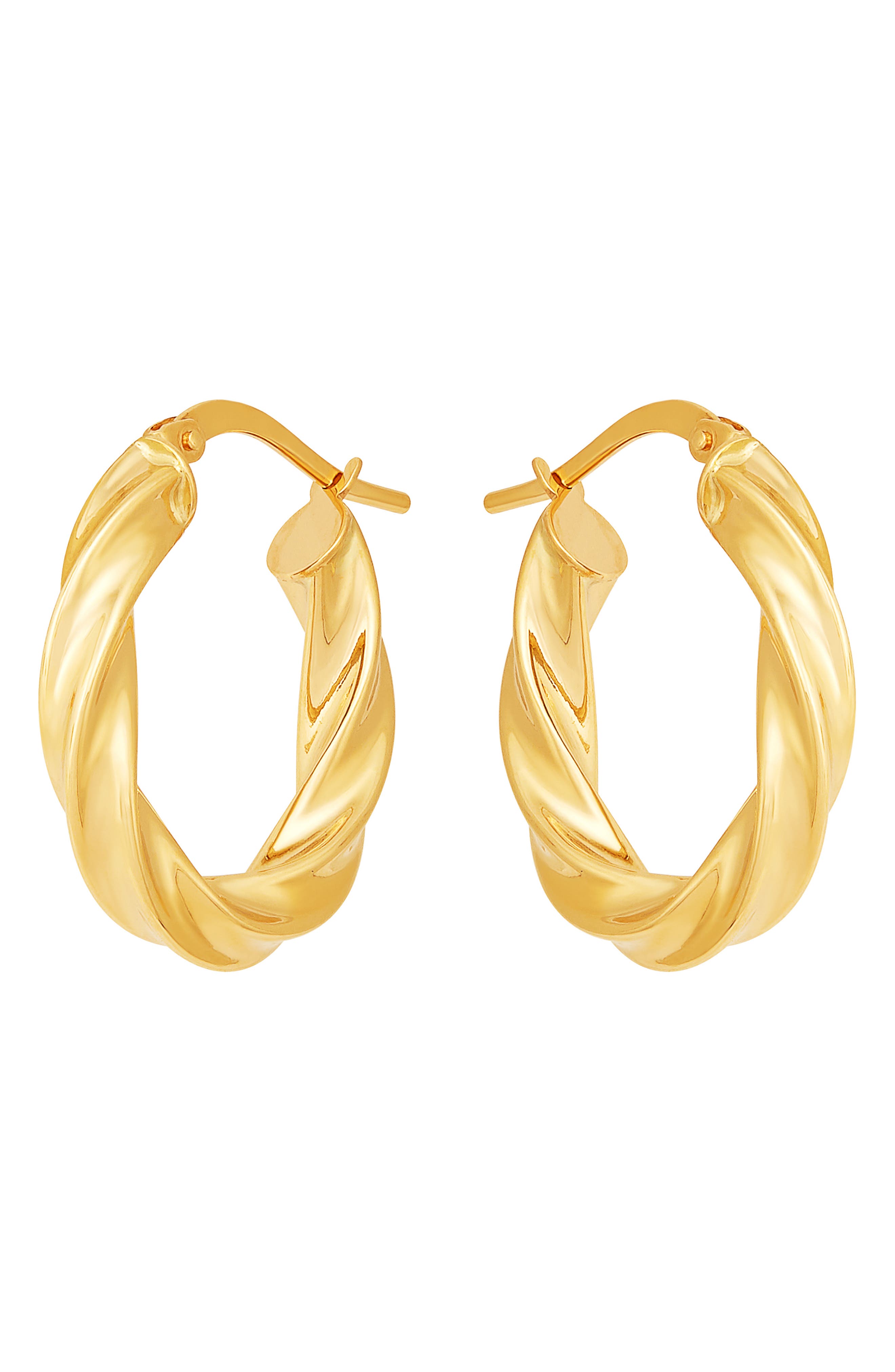 Frankie & Zoe Twist Hoop Earrings