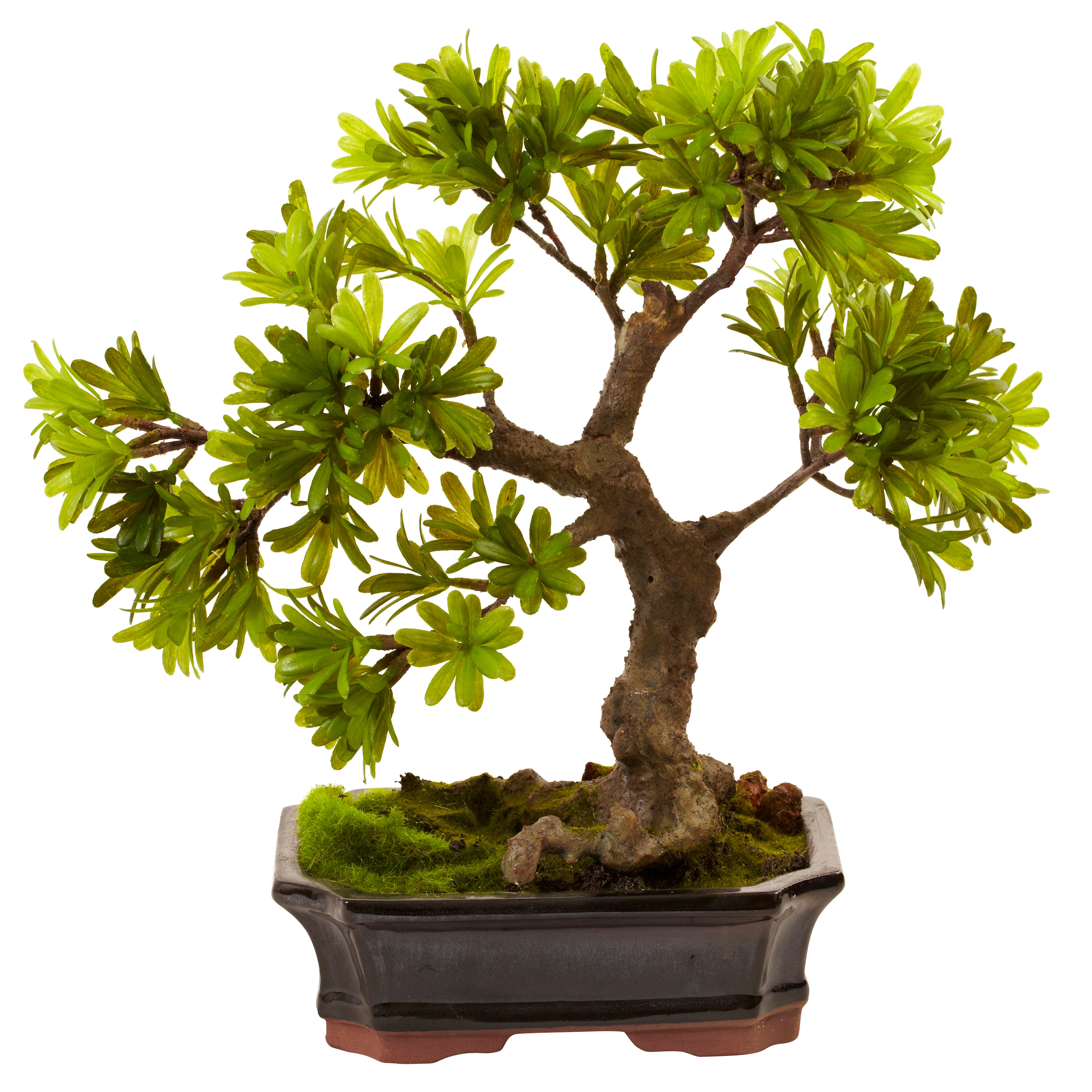 selected Green