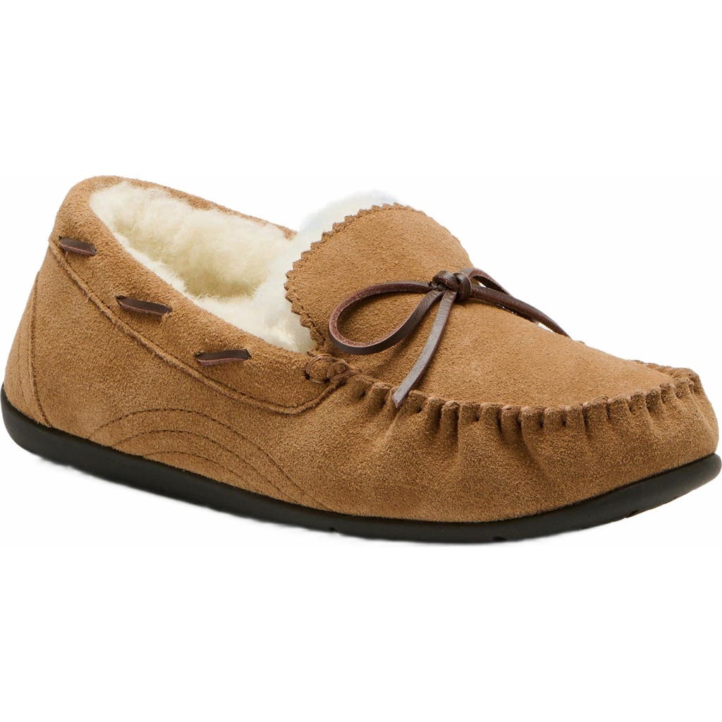 ABEO Amble Bow Slipper in Tan - Regular  product