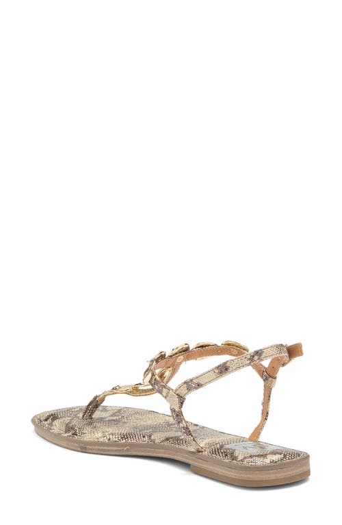 Dolce Vita Dv By Jaime T-strap Sandal In Jaime Exotic