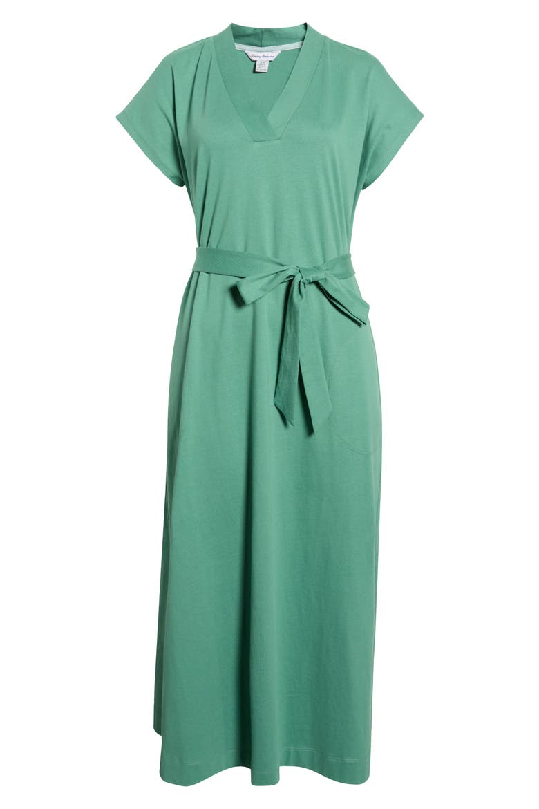 Islandscape Cotton Jersey Midi Dress, Alternate, color, SPRUCE FROST