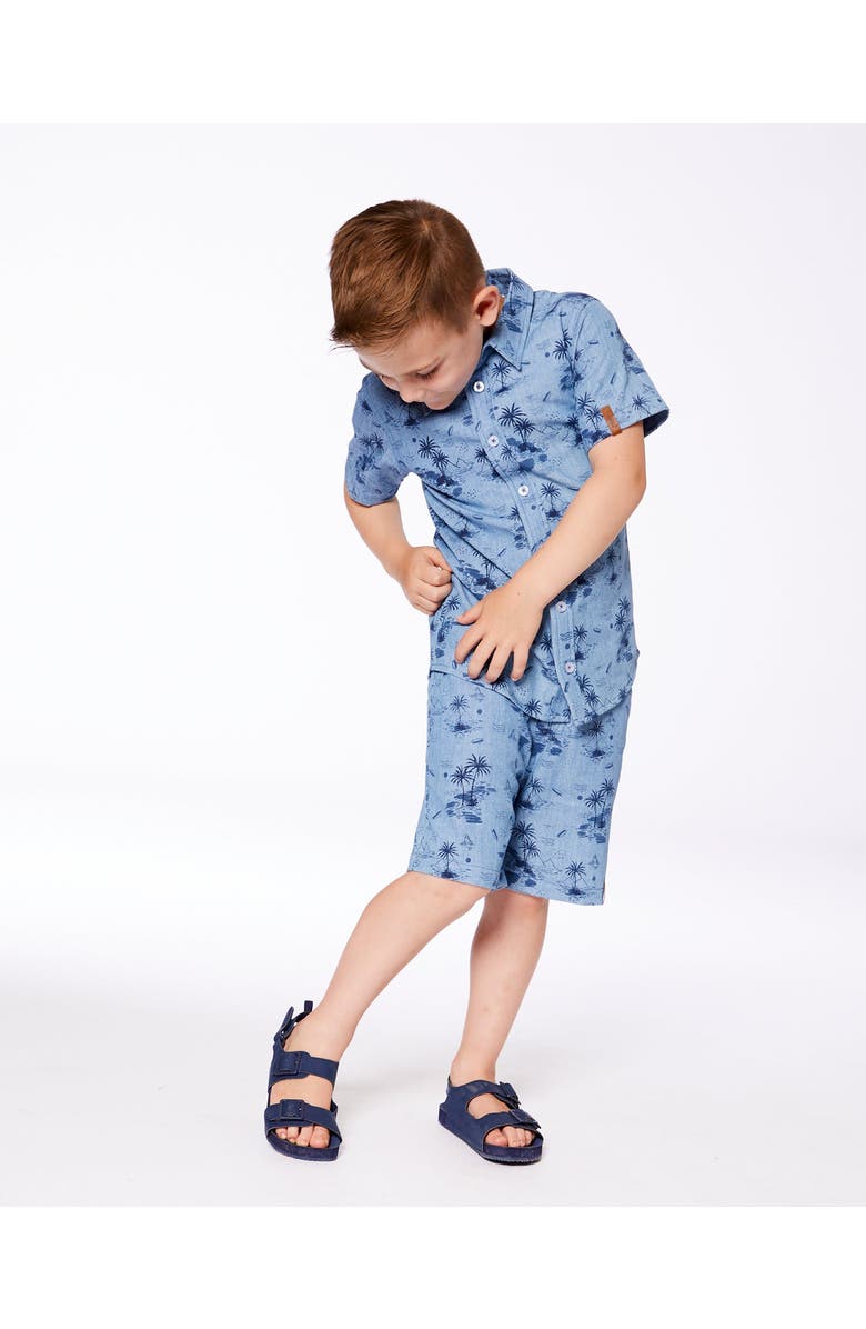 Deux par Deux Little Boy's Printed Chambray Short Pale Blue And Navy, Alternate, color, 