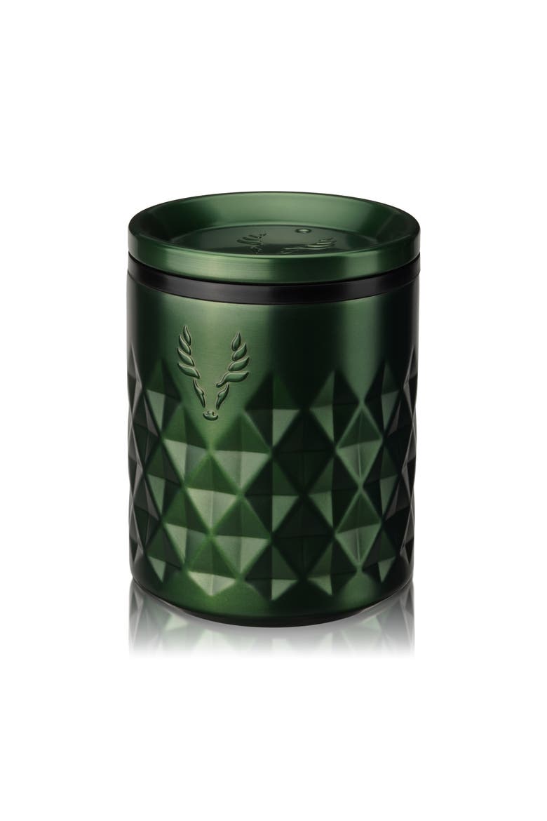 Paragon Stainless Steel Rocks Tumbler, Main, color, Satin Green