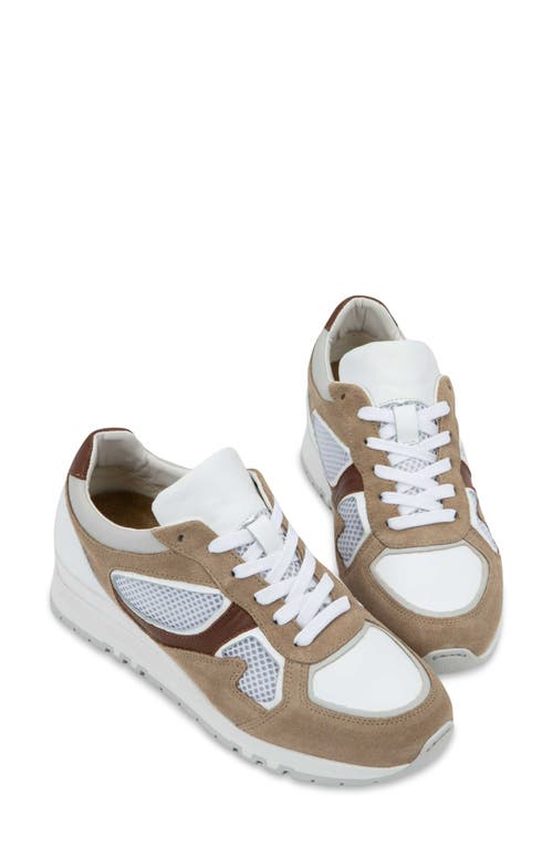 Naot Collins Sneaker In Multi