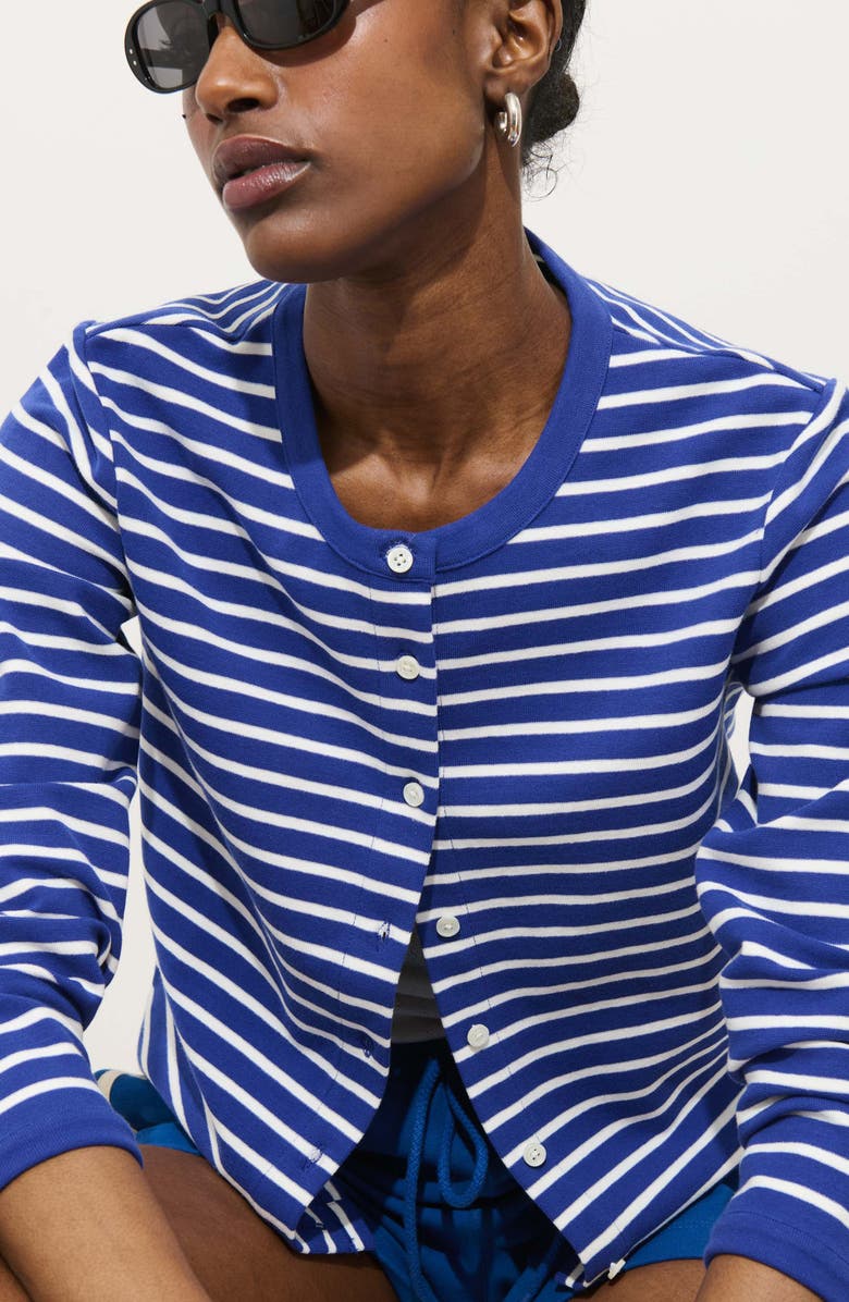 Alex Mill Coco Stripe Crewneck Cardigan, Alternate, color, Blue / Ivory