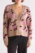 DR2 by Daniel Rainn Floral Cardigan
