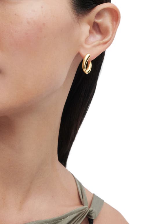 Pdpaola Helix Hoops In Gold