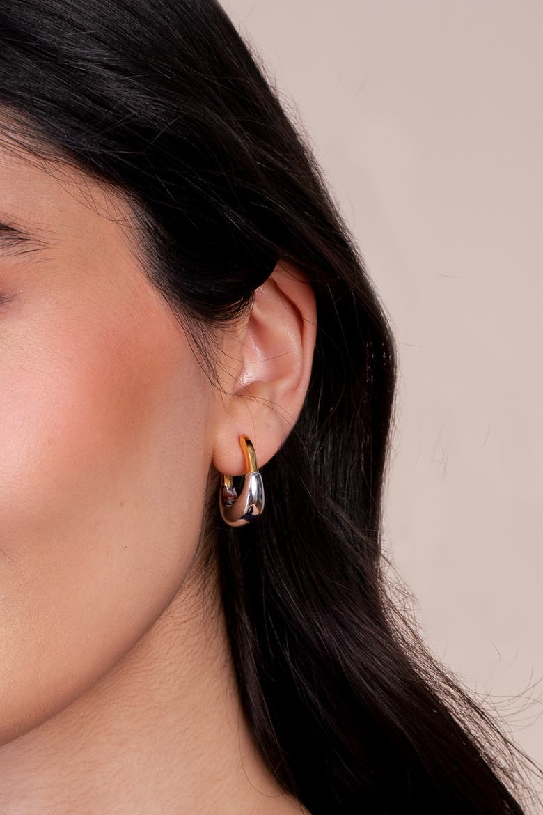 Dual Arc Hoops, Alternate, color, Two Tone