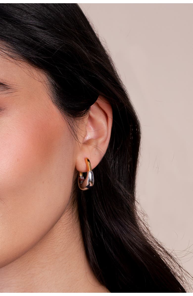 Zynnia Collective Dual Arc Hoops, Alternate, color, Two Tone