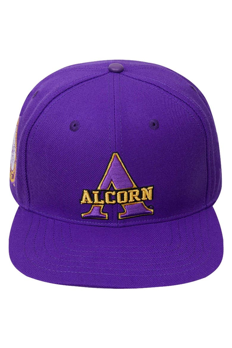 Men's Pro Standard  Purple Alcorn State Braves Evergreen Primary Logo Snapback Hat, Alternate, color, Purple