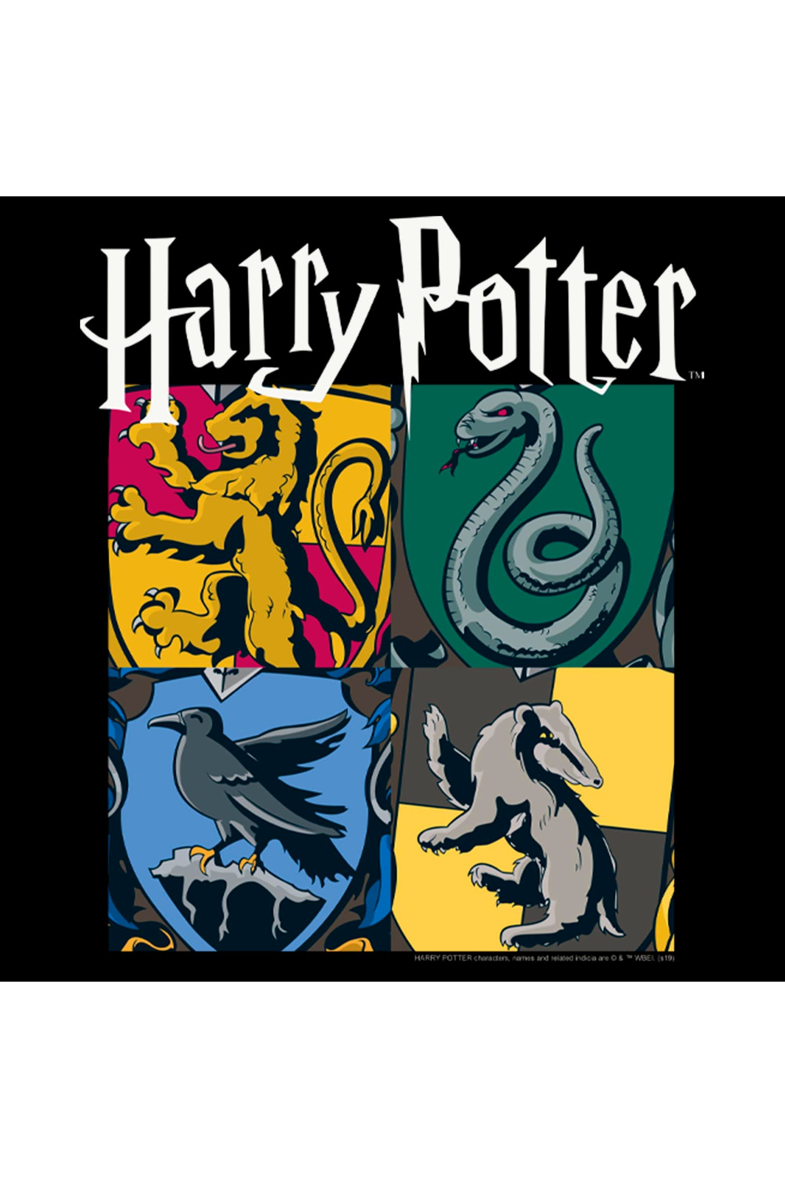 Color Callage HARRY POTTER Men's Hogwarts Houses Vintage Collage Short Sleeve Graphic ...